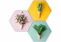 Premium Decorative Accent Pieces for Home Styling